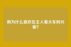 狗为什么喜欢在主人看火车时兴奋？