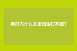 狗狗为什么会害怕围栏构造？