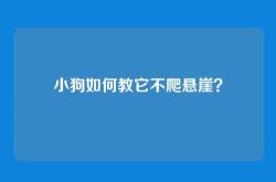 小狗如何教它不爬悬崖？