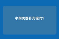 小狗需要补充镍吗？