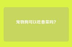 宠物狗可以吃香菜吗？