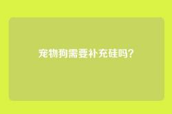 宠物狗需要补充硅吗？