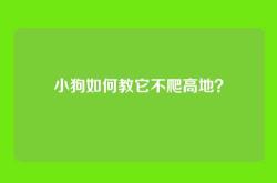 小狗如何教它不爬高地？