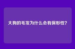 大狗的毛发为什么会有保形性？