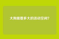 大狗需要多大的活动空间？