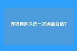 宠物狗多久洗一次澡最合适？
