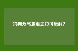 狗狗分离焦虑症如何缓解？