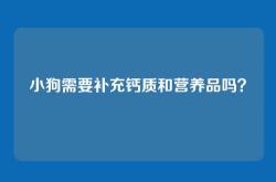 小狗需要补充钙质和营养品吗？