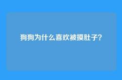 狗狗为什么喜欢被摸肚子？