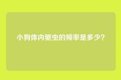 小狗体内驱虫的频率是多少？