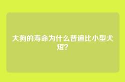 大狗的寿命为什么普遍比小型犬短？