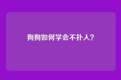 狗狗如何学会不扑人？