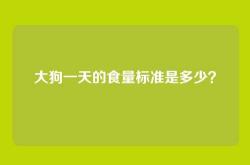 大狗一天的食量标准是多少？