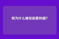 狗为什么睡觉前要转圈？