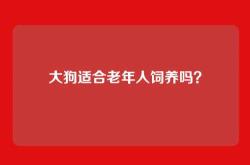 大狗适合老年人饲养吗？