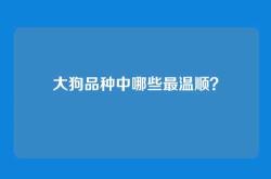 大狗品种中哪些最温顺？