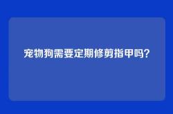 宠物狗需要定期修剪指甲吗？