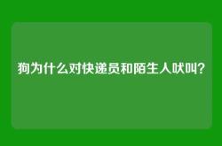 狗为什么对快递员和陌生人吠叫？