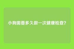 小狗需要多久做一次健康检查？
