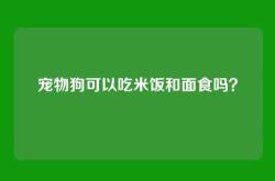 宠物狗可以吃米饭和面食吗？