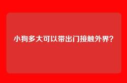 小狗多大可以带出门接触外界？