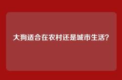 大狗适合在农村还是城市生活？