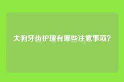 大狗牙齿护理有哪些注意事项？