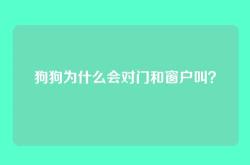 狗狗为什么会对门和窗户叫？