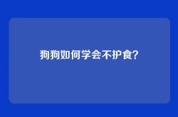狗狗如何学会不护食？