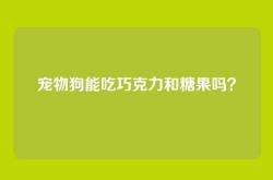 宠物狗能吃巧克力和糖果吗？