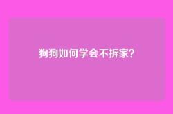 狗狗如何学会不拆家？