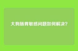 大狗肠胃敏感问题如何解决？