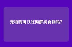 宠物狗可以吃海鲜类食物吗？