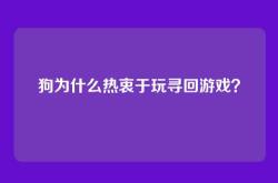 狗为什么热衷于玩寻回游戏？