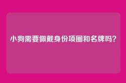 小狗需要佩戴身份项圈和名牌吗？