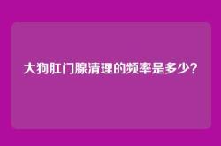大狗肛门腺清理的频率是多少？