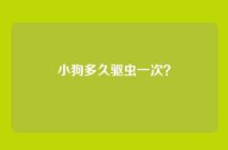 小狗多久驱虫一次？