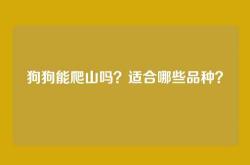 狗狗能爬山吗？适合哪些品种？