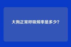 大狗正常呼吸频率是多少？