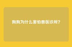 狗狗为什么害怕兽医诊所？