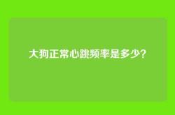 大狗正常心跳频率是多少？