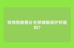 宠物狗需要补充卵磷脂保护肝脏吗？