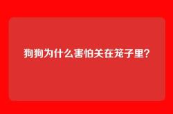 狗狗为什么害怕关在笼子里？