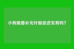 小狗需要补充叶酸促进发育吗？