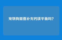 宠物狗需要补充钙镁平衡吗？