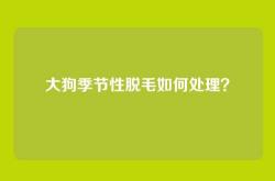 大狗季节性脱毛如何处理？