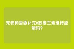 宠物狗需要补充B族维生素维持能量吗？