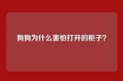狗狗为什么害怕打开的柜子？