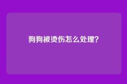 狗狗被烫伤怎么处理？