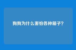 狗狗为什么害怕各种箱子？
